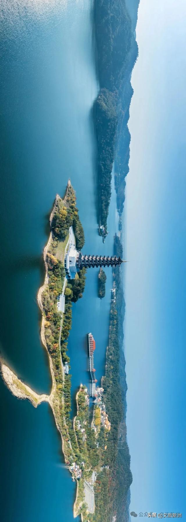 别去日本了!新洲的“同款”风景,美得更懂你