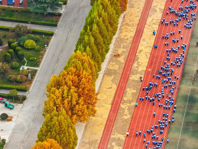 初冬访复圣文化园：与色彩和哲思对话