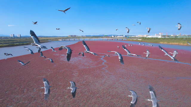 乘着高铁游威海 | 下一站，文登！