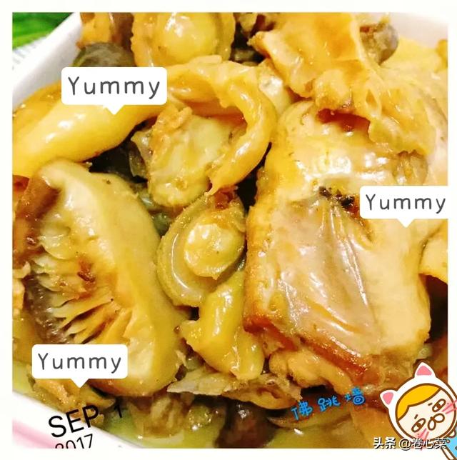 花胶能不能和洋葱一吃 2025年花胶可以加洋参一起炖吗?