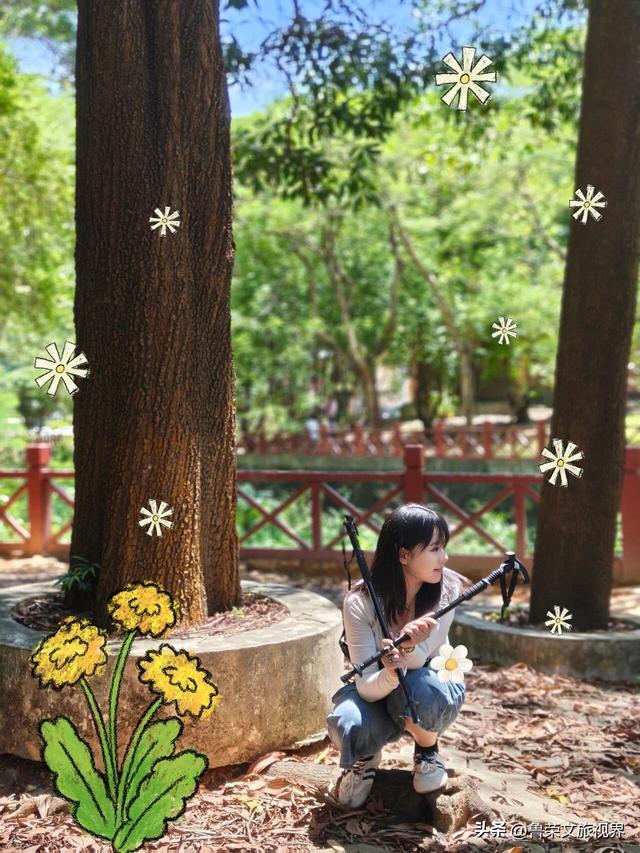 深圳圆山风景区漫记：从禅音到童梦，再攀云巅