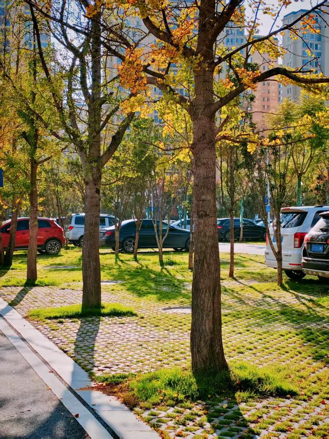 【新年絮语】陆良培芳医院之美