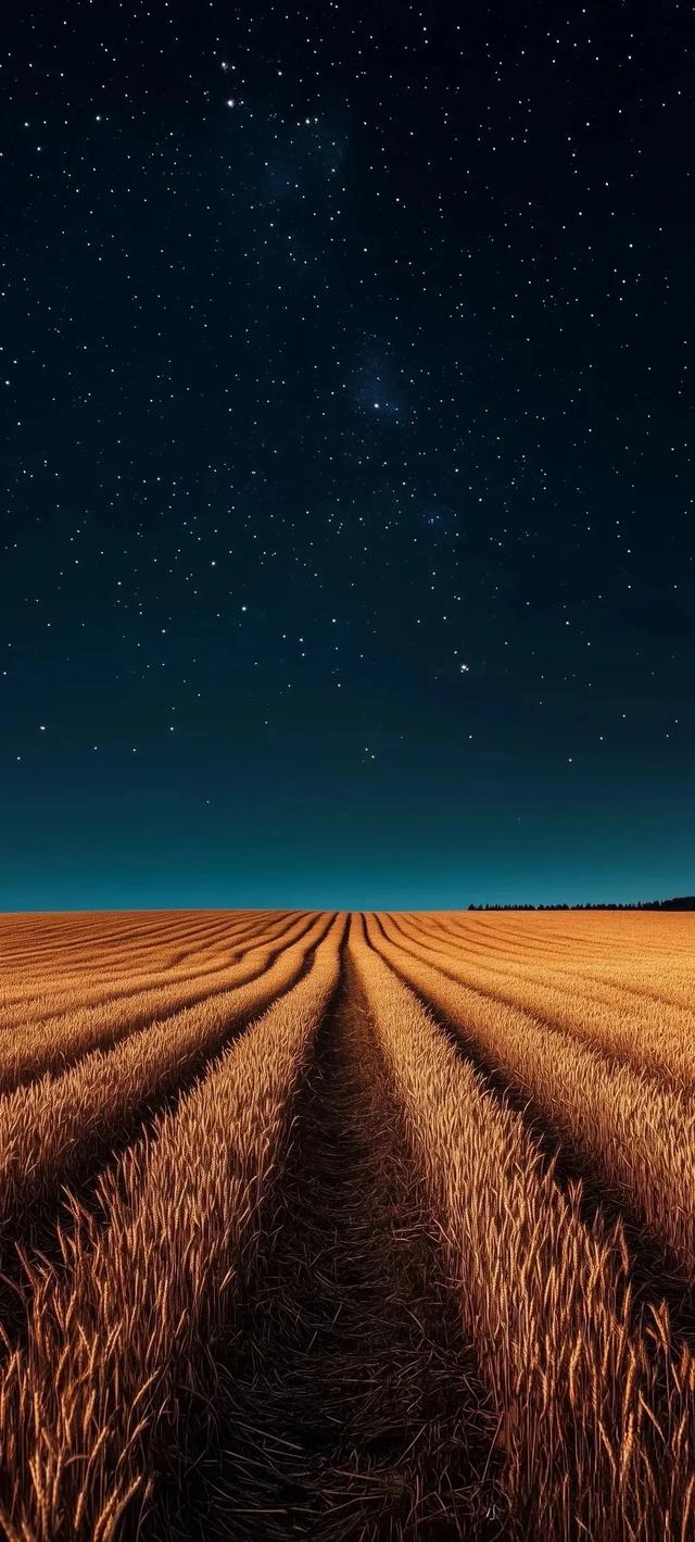 最有意境的壁纸美图