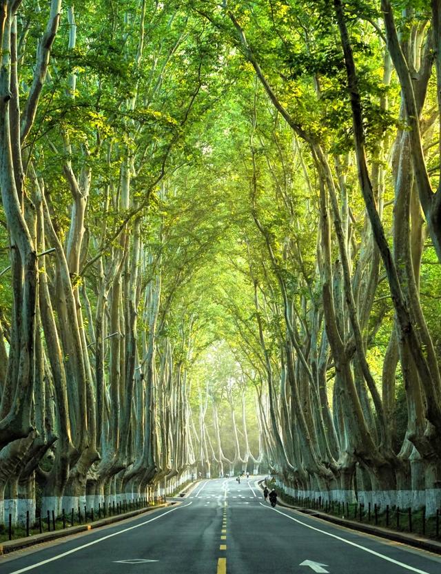 世界上只有江苏才有的十二大奇景！