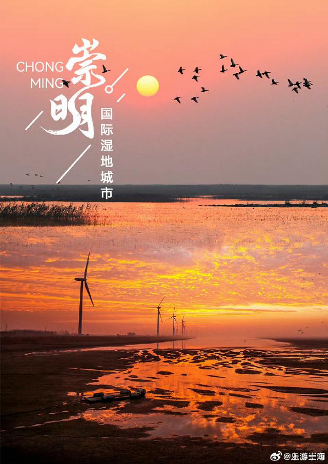 一组海报解锁国际认证的湿地天堂！