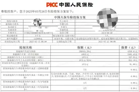 新能源车，保险费就劝退了一批人。图片
