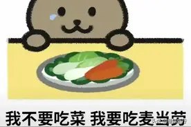 原创歌词：送胖猫一份麦当劳图片