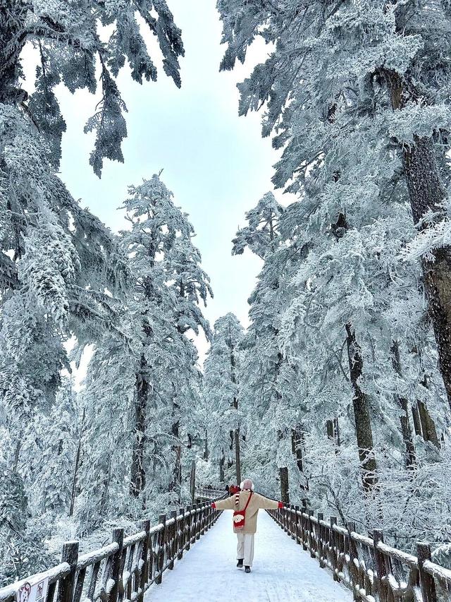 不说了，我要去四川玩雪了！
