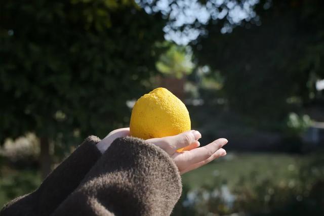 丹徒这几条路，真不想让太多人知道！