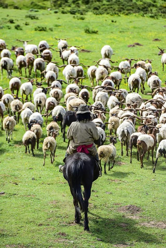 地理冷知识—中国的自治州