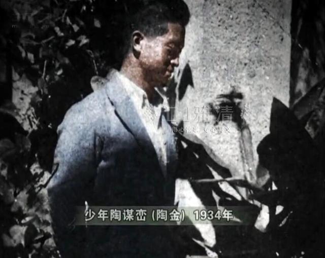 图说大明星陶金 娱乐圈少有的老实人 但为何妻子女儿却对他又爱又恨