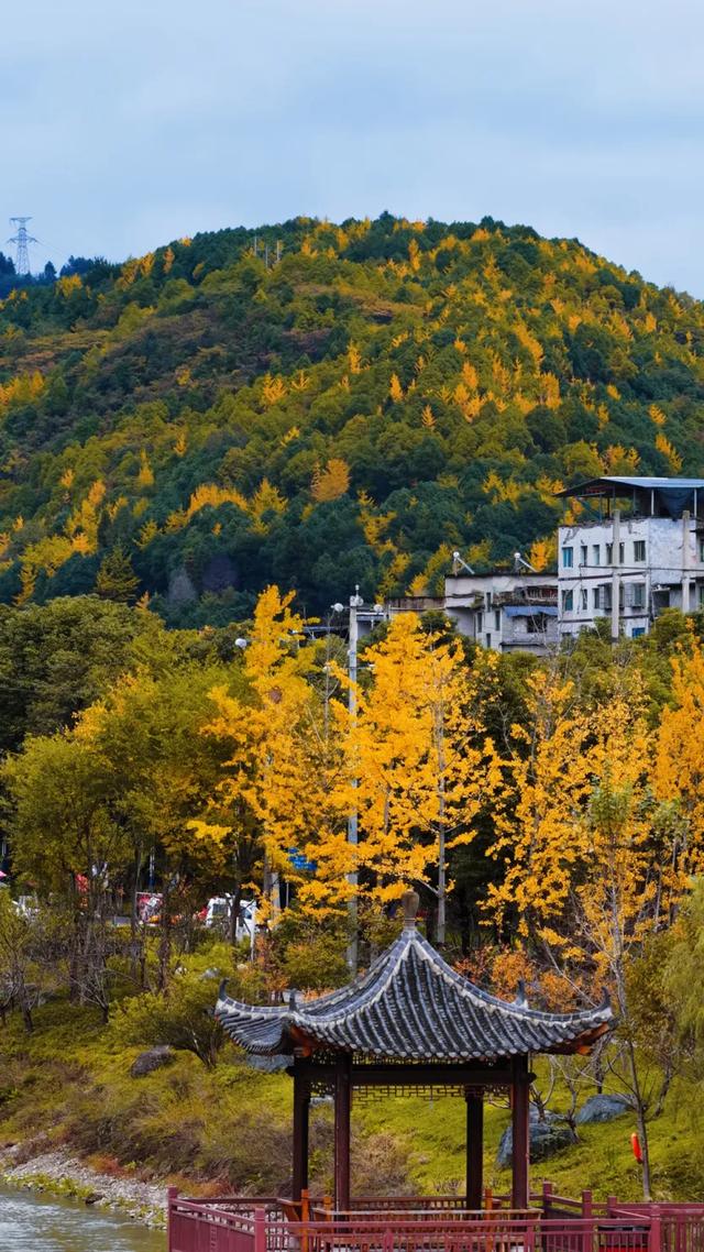 桐梓秋日美景火出圈！外交部赵立坚转发推荐