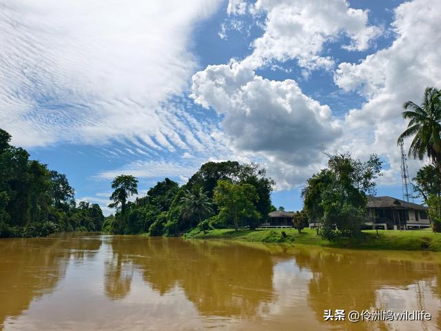 马来西亚(32)砂拉越州⑥世界遗产尼亚洞窟探险