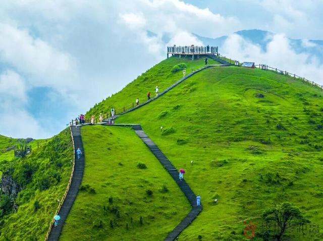 “活力大湾区，魅力新广州”来梧州旅游的大湾区小伙伴都在刷这句？原来是因为……