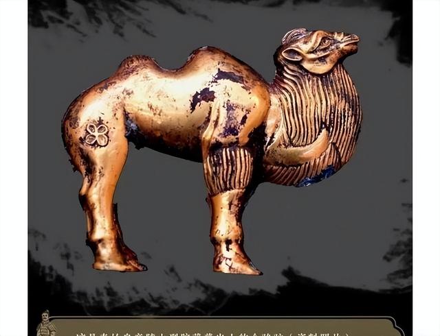 秦始皇永远不让人失望！又见“穿越文物”，历史课本有点受伤