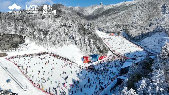 19.39万人次！临安火火火！