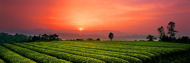 2025“China Travel·探馆中国——国际主播网红解码宝藏四川”活动即将启动