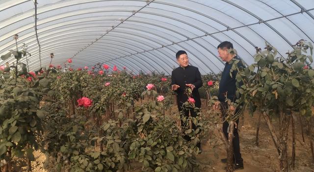 他是央视金牌主持人，57岁才结婚，娶北师大教授，气质高贵还漂亮