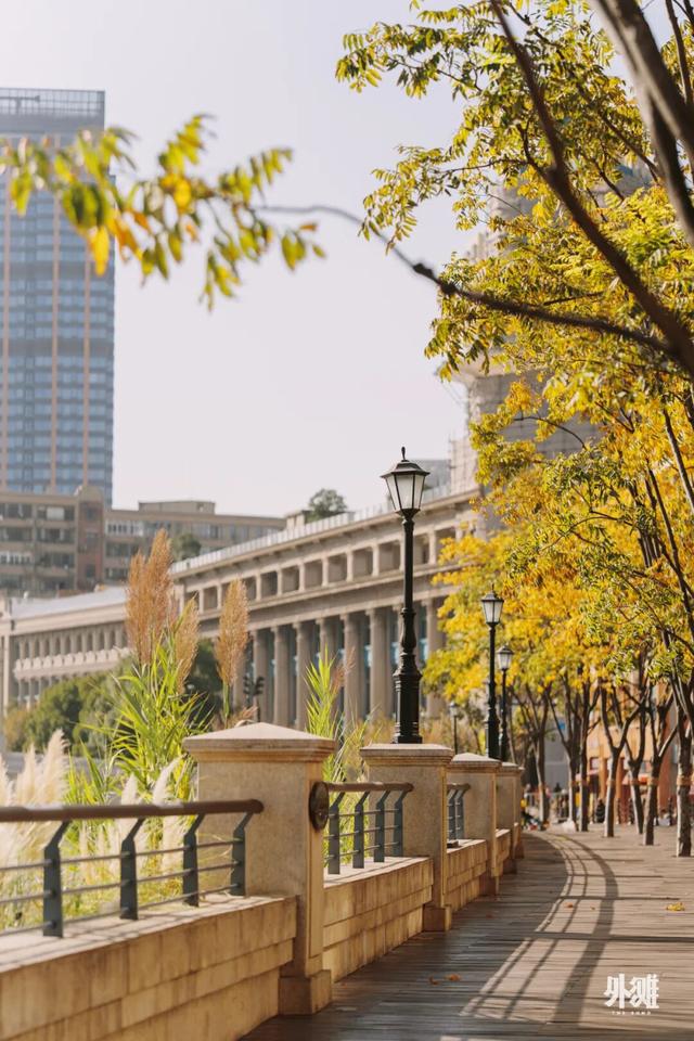 这里，是与世界同频的远见