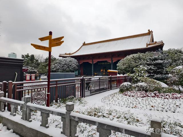 每日一景|大寒雪落金陵 明故宫梧桐披银 市民漫步享冬日诗意