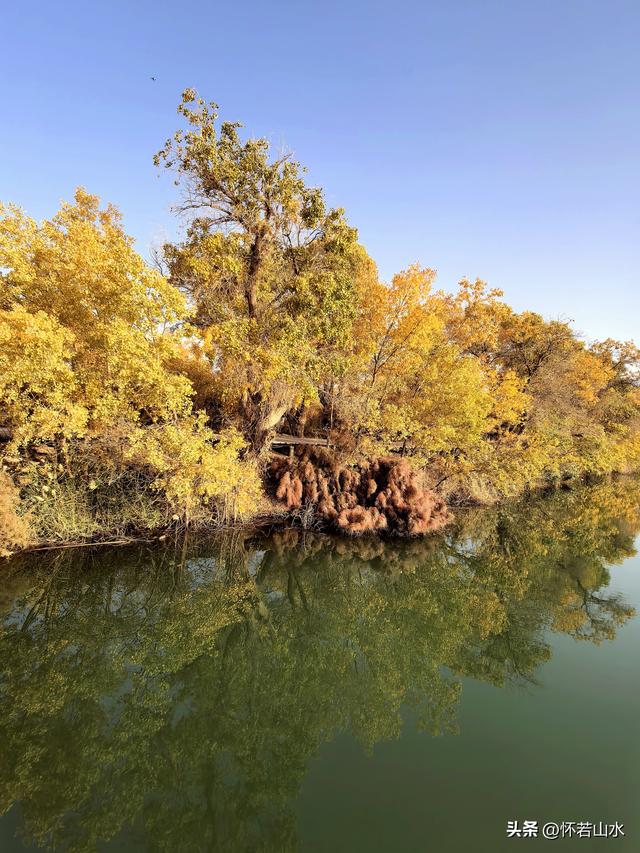 2025环南疆沙漠铁路背包自由行日记(6)---游览巴楚红海胡杨林景区