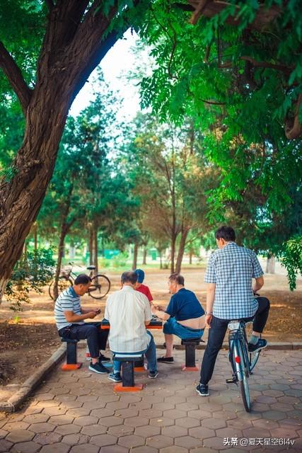 家乡那片林的美丽时光