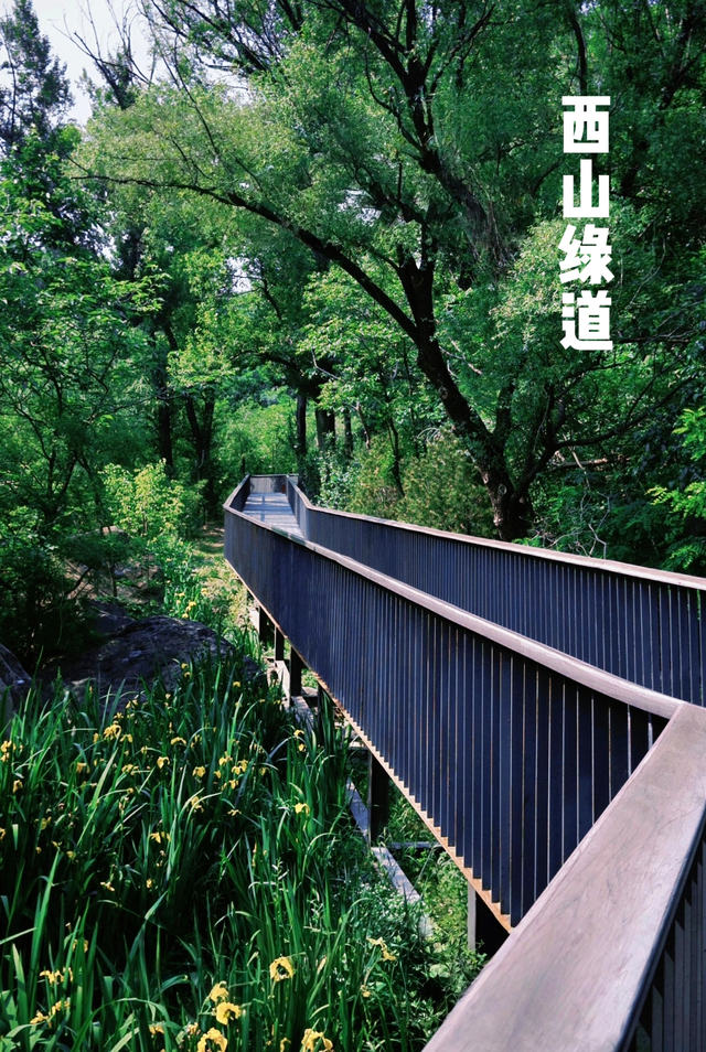 辉煌“十四五” 奋进石景山③——风起京西 焕活新韵