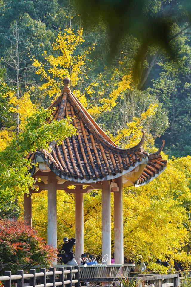 漫游韶关，赴一场山水间的秋日之约