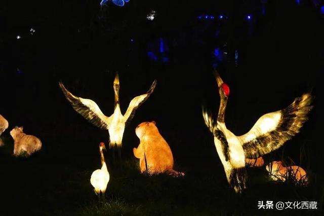 吉尼斯世界纪录+1！拉萨这一项目，昨日启幕！