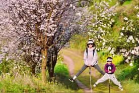 全部免费！成都周边6条冷门赏花采茶徒步线路，0.5h刹拢景色封神！图片