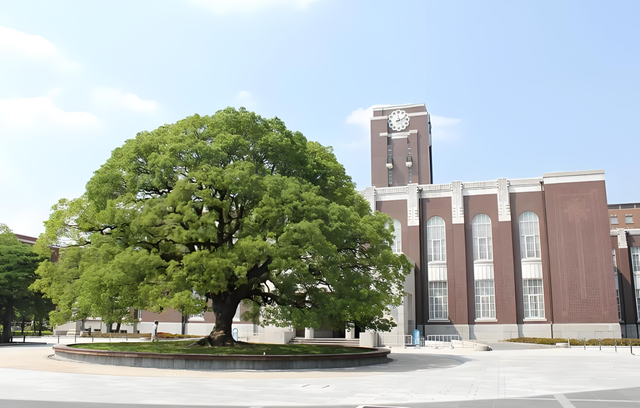 医学奖之后，2025年日本再获诺贝尔化学奖，本世纪已达21枚