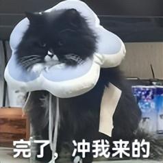 128GB 手机退休上热搜！网友：这版本纯恶心人...