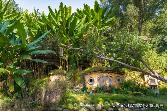 直冲20°C！武汉赏秋天花板，上新3个玩法