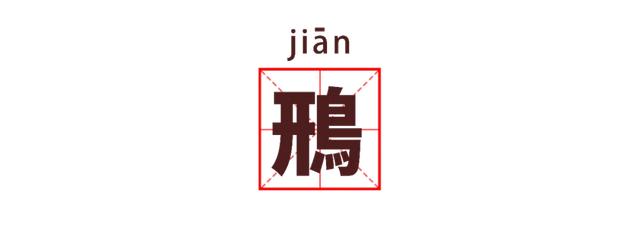 湖北公安 |【万里长江湖北行】鹳䴙䴘鸻鹈鹕鳽鹬鹛鹀䴓鹎，到底怎么读？