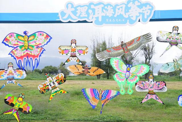 生活|快乐又松弛!大理洱海风筝节持续“放飞”至24日