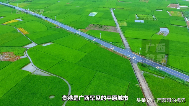 贵港，广西罕见的平原城市，颠覆你对“广西到处都是山”的印象！