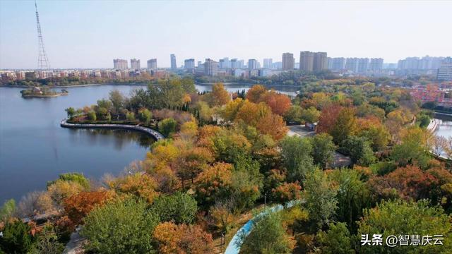 快去拍！秋天把庆云点缀成诗了！