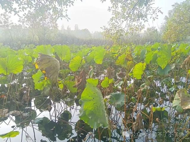 光山文殊寺,秋日的宁静与闲适