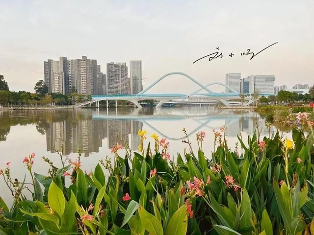 广州竟然也靠海？它的这个沿海郊区，已是“国家级新区”