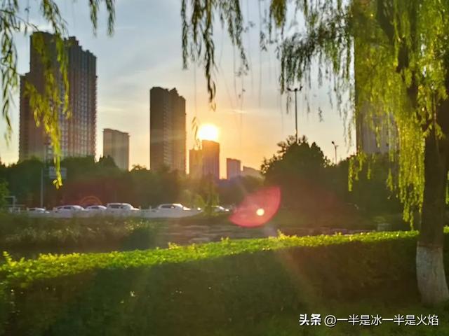 随笔:大暑,且与夏安,且待秋光