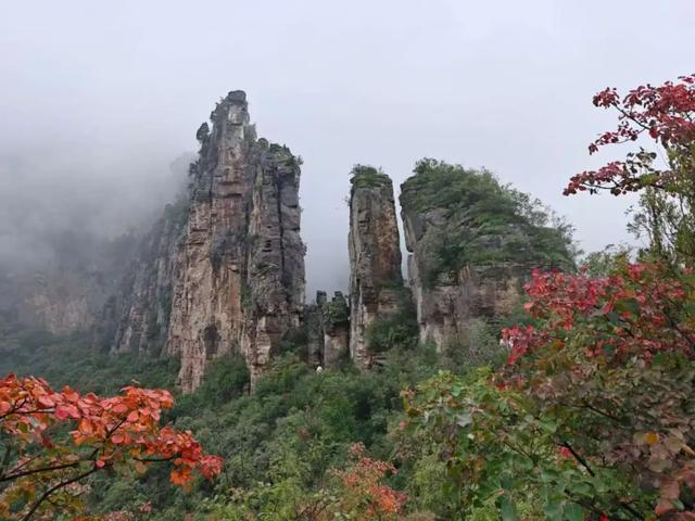 巩义青龙山的秋天美成壁纸，随手一拍都是大片！