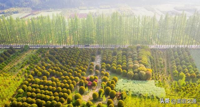 省交博会·衢州展区：公路串珠绘秘境，解锁“交通+”的融合魅力