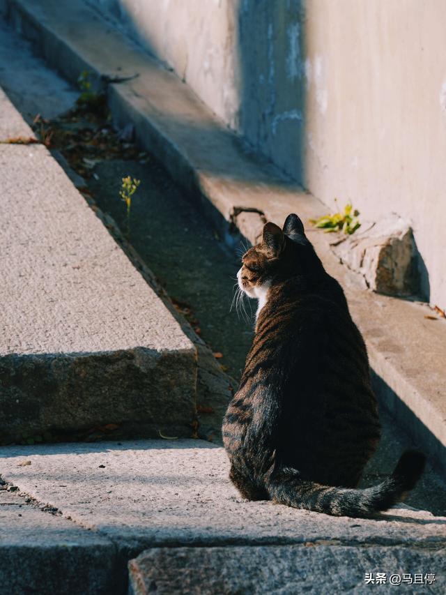 今年去过最喜欢的海滨城市烟台,这份4天3夜懒人玩法记得提前收藏