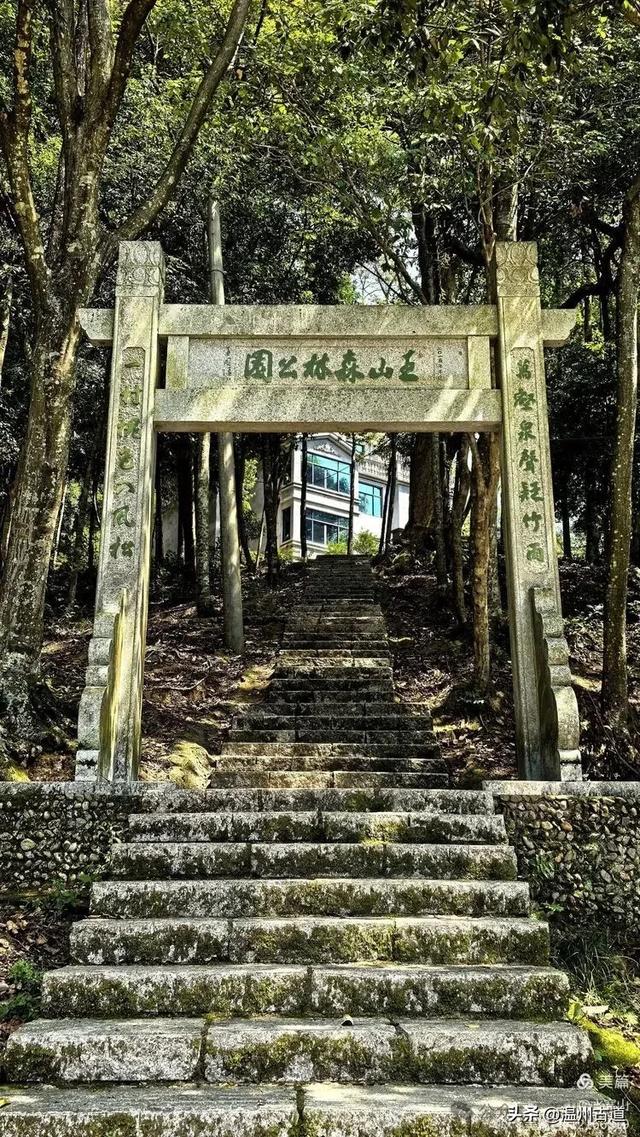 华东最后一个通电村！你知道是温州哪个村吗
