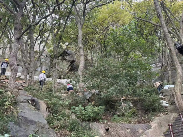 云台山景区：从“基”开始，“精雕细琢”助力游览体验升级