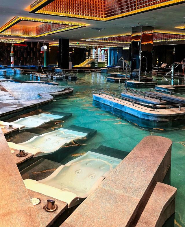 2026“马”年免费福利、吃临沂炒鸡送门票、年卡……千万别错过！