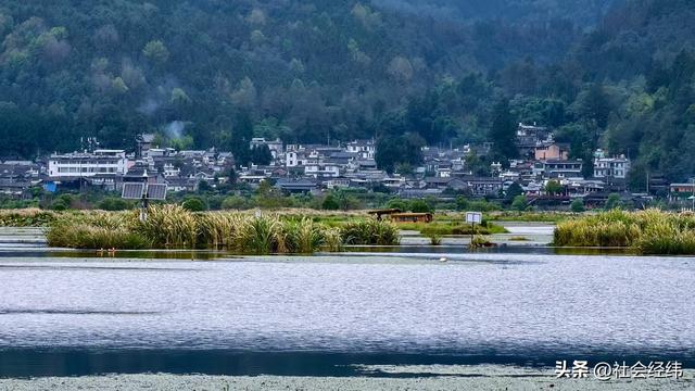 每日一景|云南腾冲北海湿地风景区