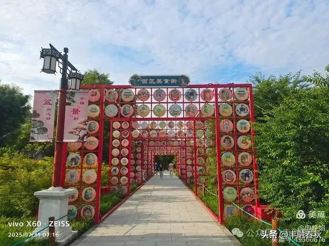 北京景山公园向日葵花海,夏日盛景| 申艳娟