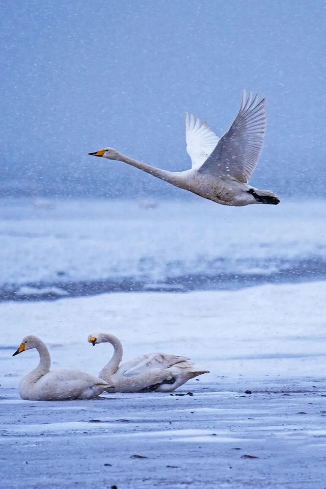 没有保持苹果肌扁平的义务，威海这个“雪窝子”太好玩了！