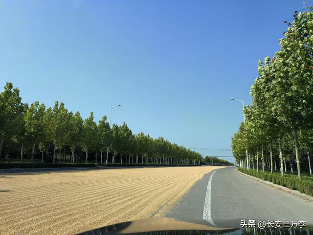 北上大草原第3站：日照凌晨观火箭，东营午后探黄河